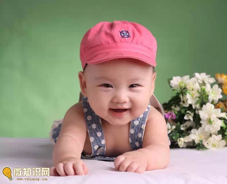 刘姓的来源及分布
