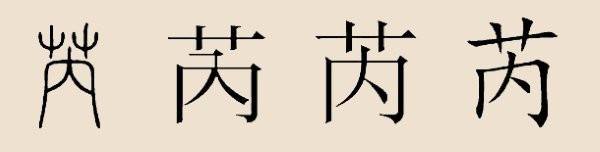 յԴֲ