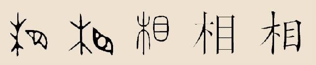 相姓的来源及分布