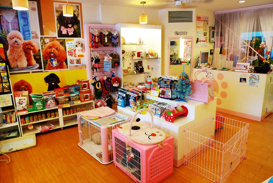 宠物店店名大全