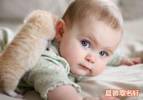 男孩起名 猪年好听男孩名字推荐