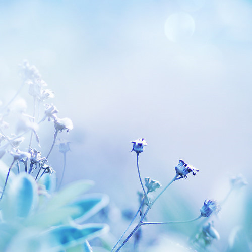 ʺкȡֵ